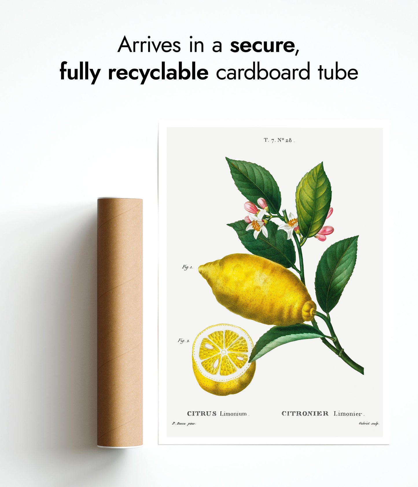 En förstorad citron