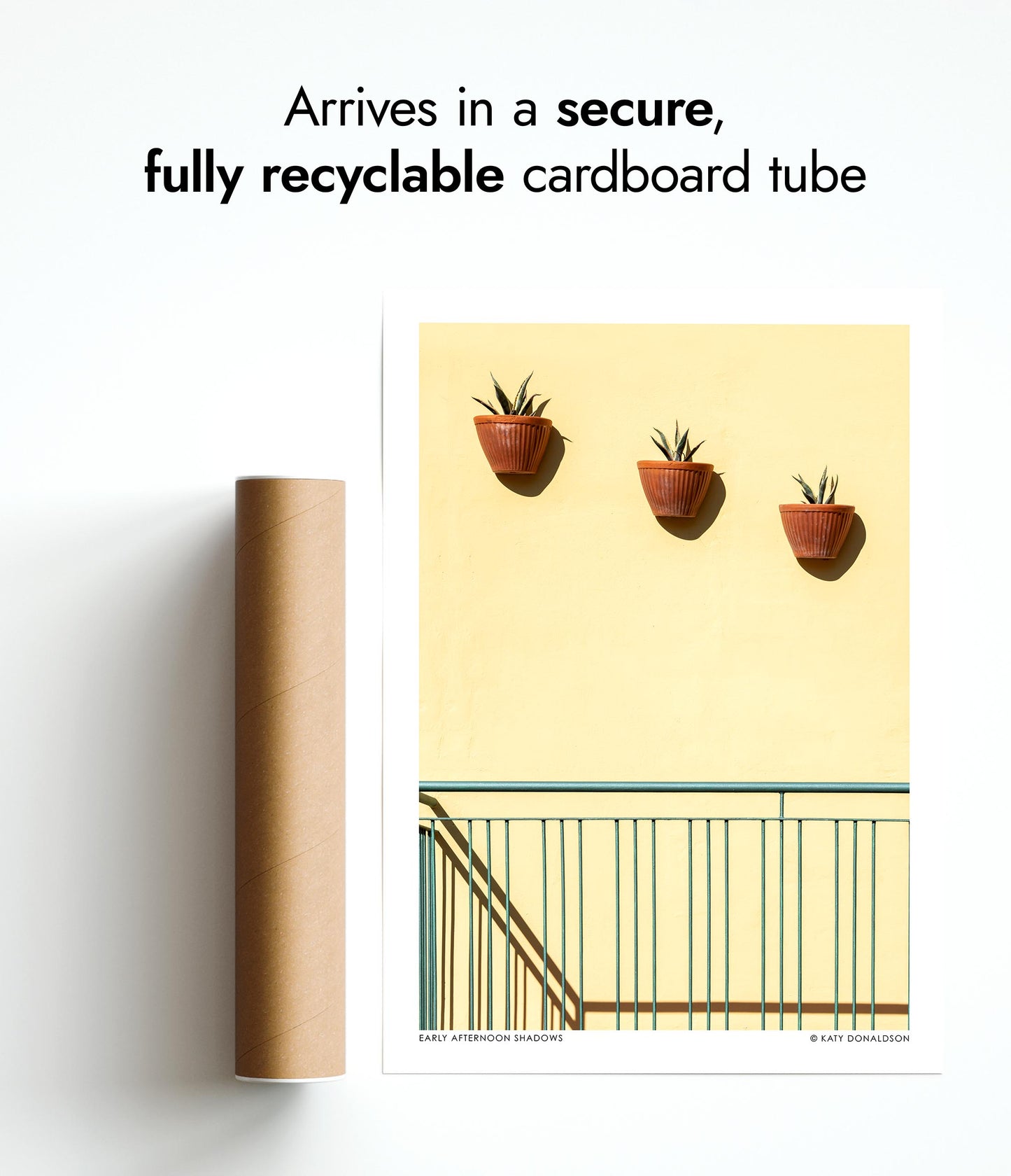 Early Afternoon Shadows