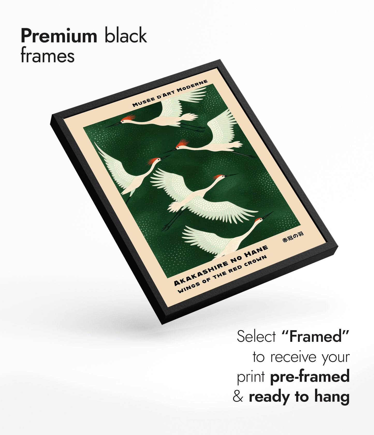 De röda kronans vingar