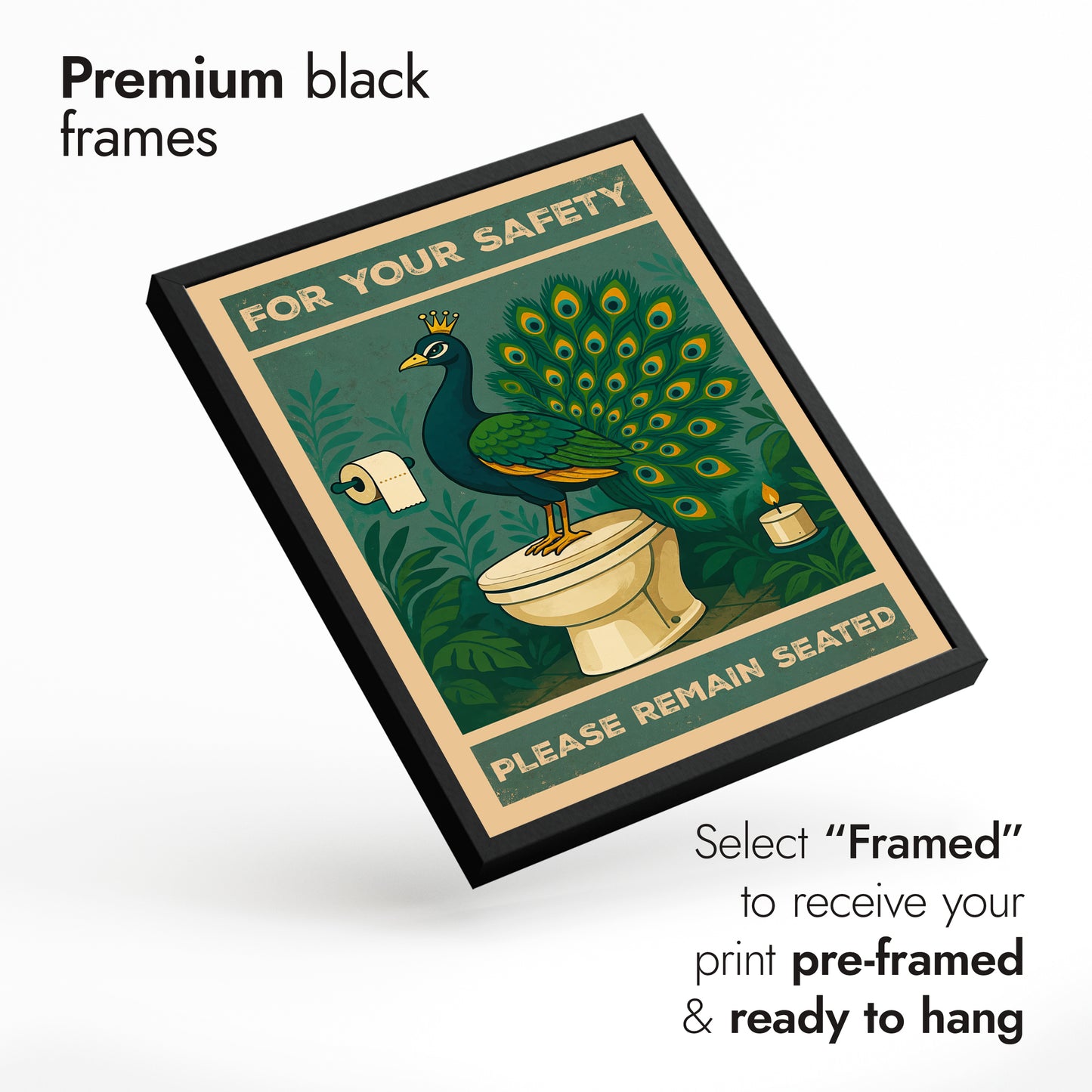 Trio d'animaux drôles