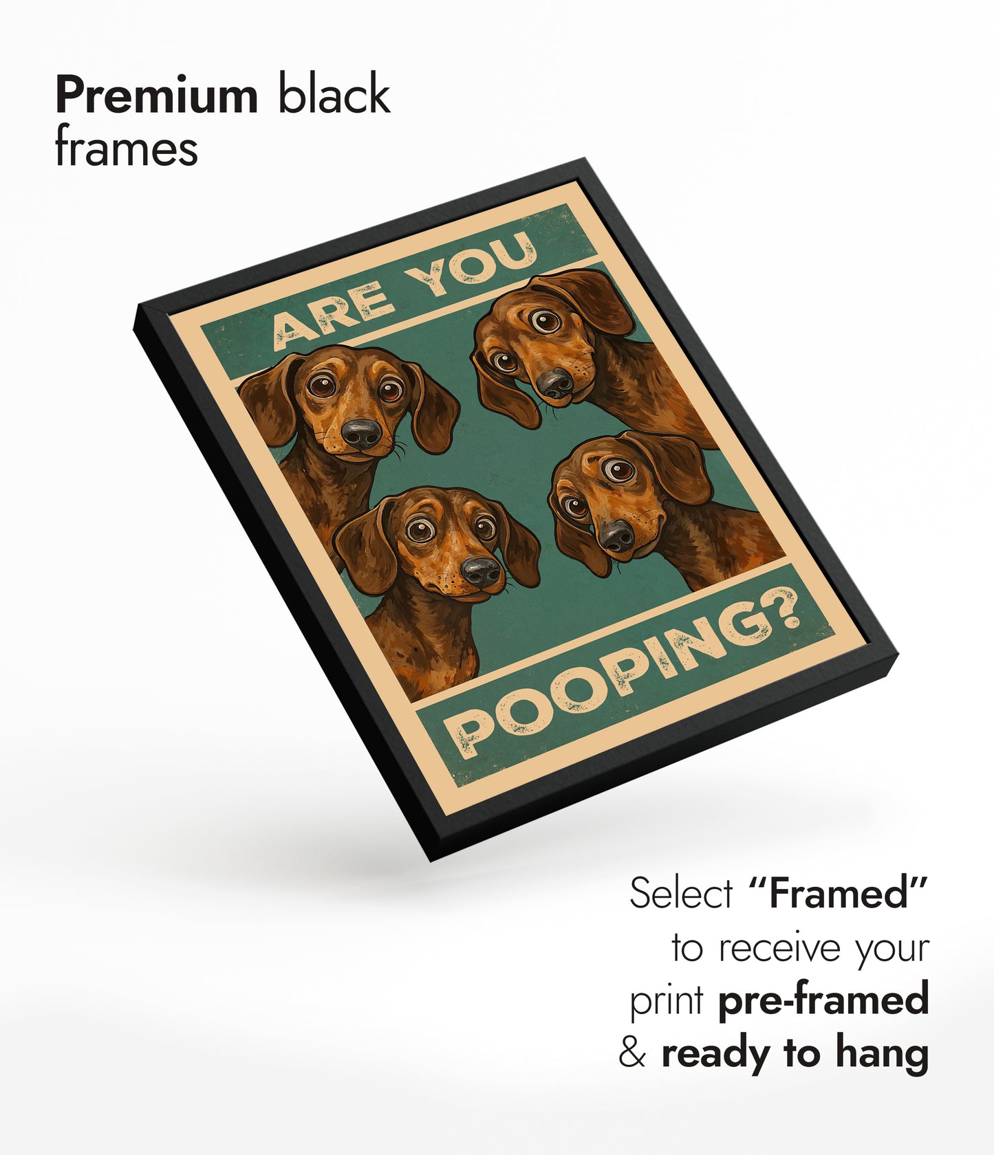 Are You Pooping? Dogs