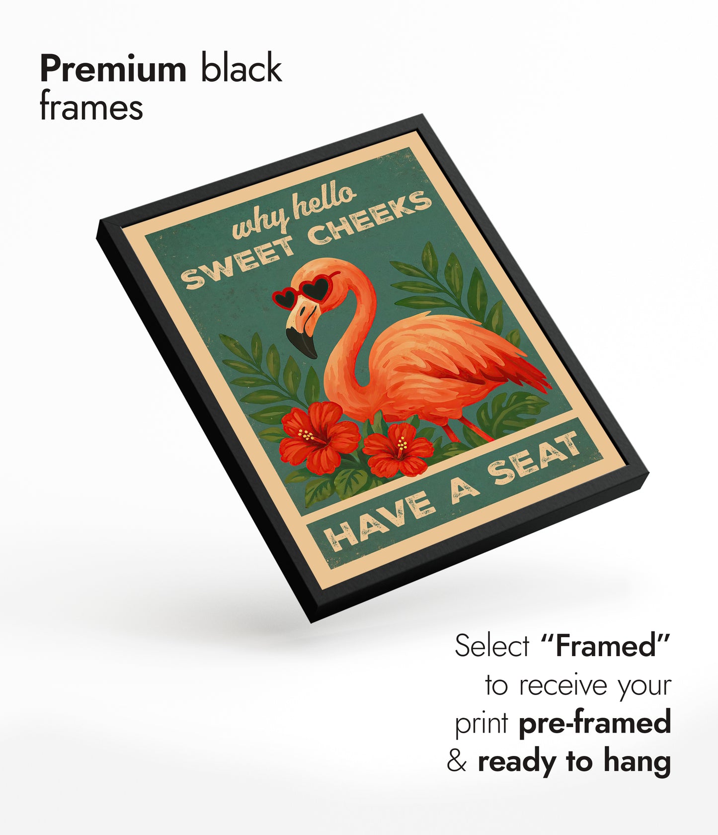 Bonjour, jolies joues flamant