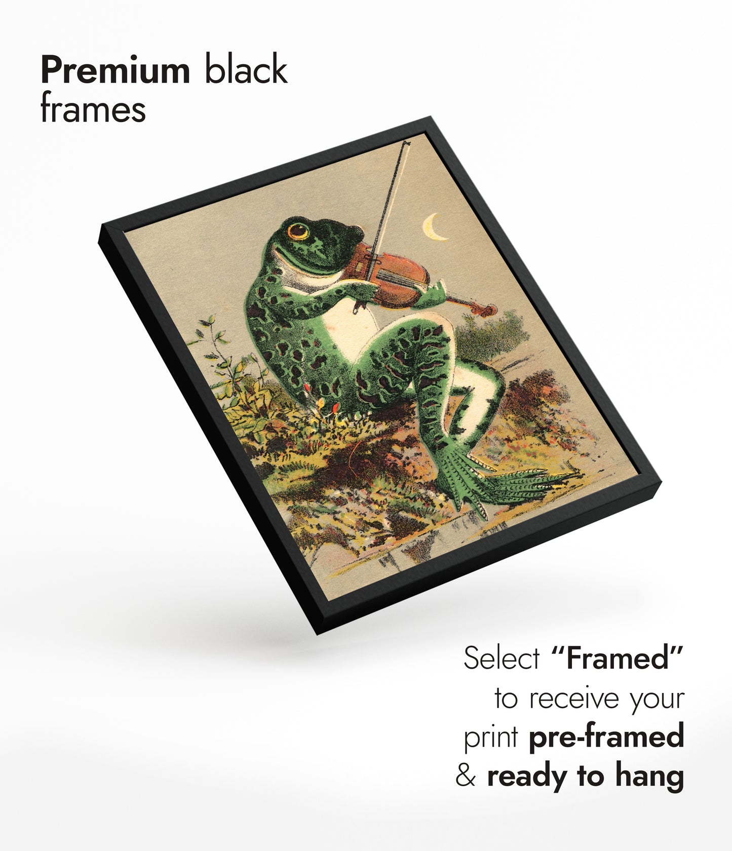 Kikker die viool speelt