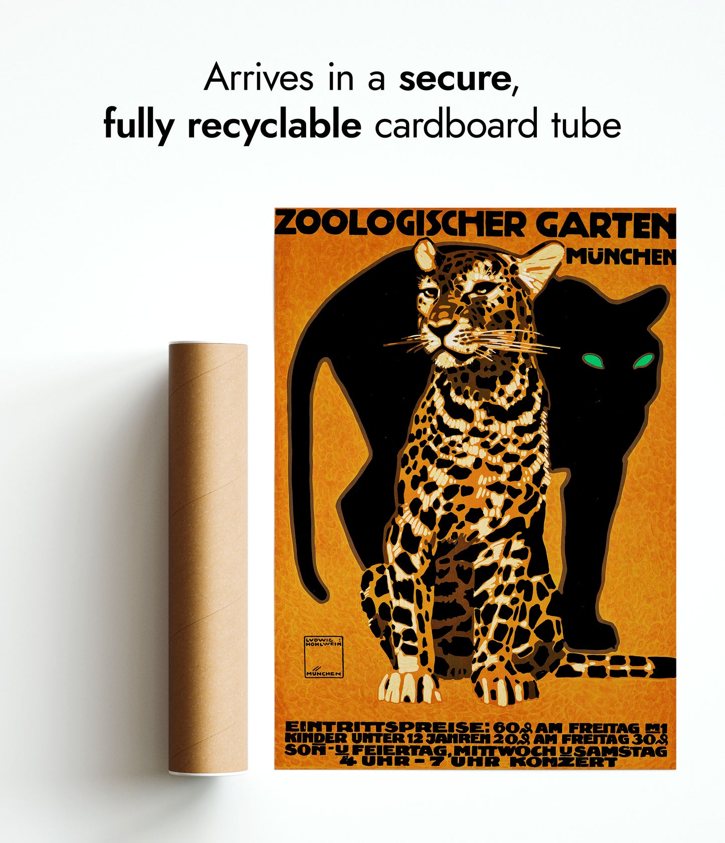 Zoo - Set of 3