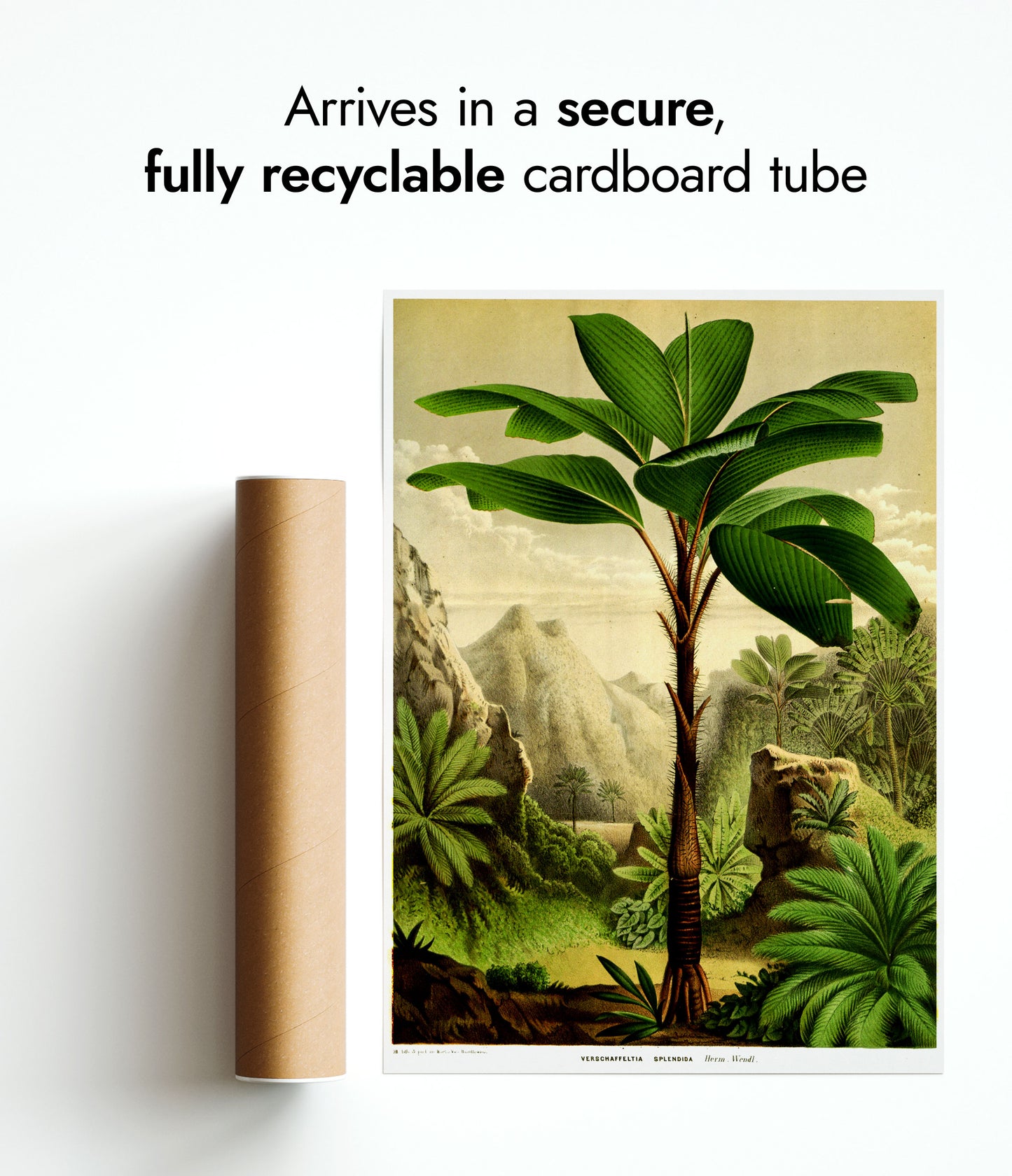 Botaniska träd - Set om 3