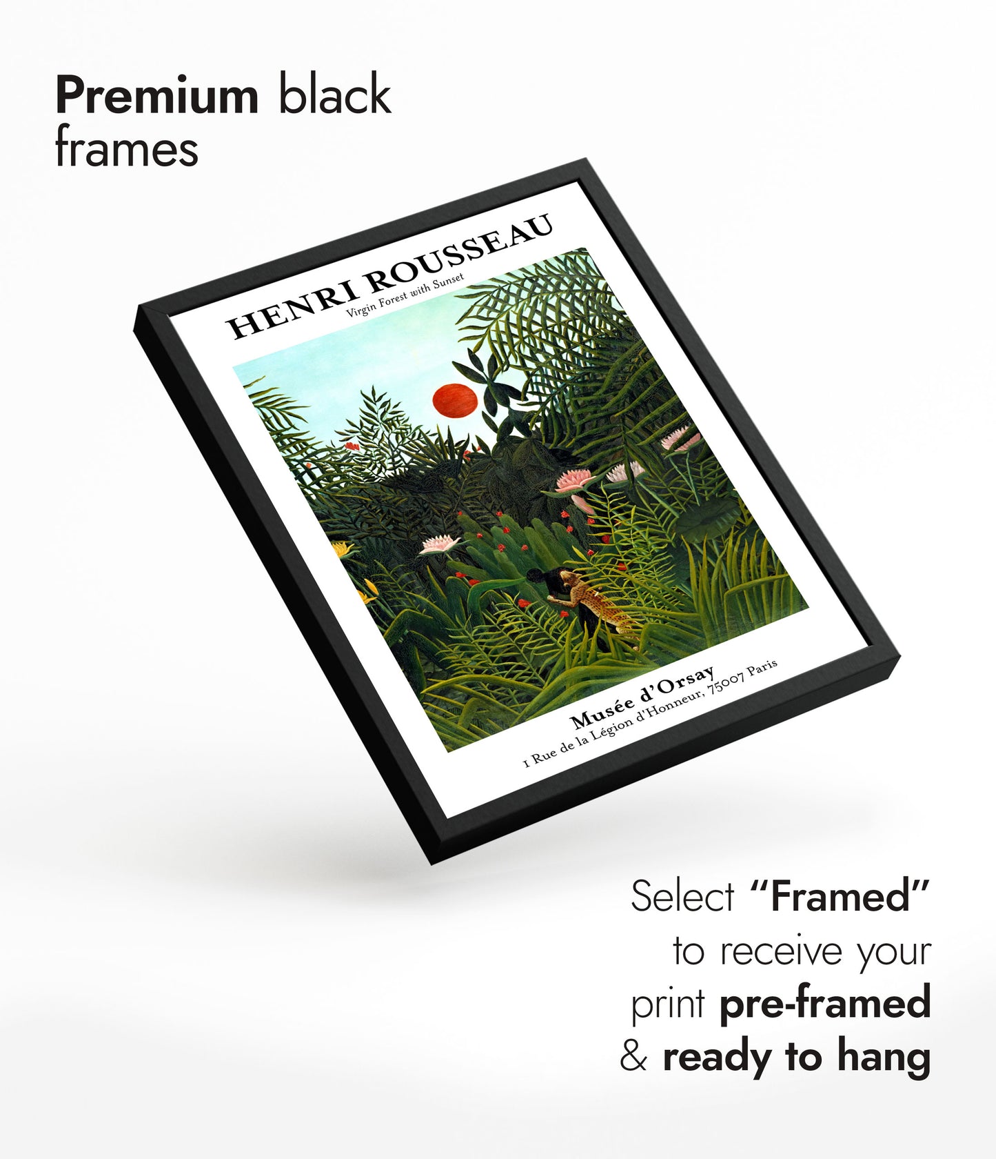 Henri Rousseau - Set of 3