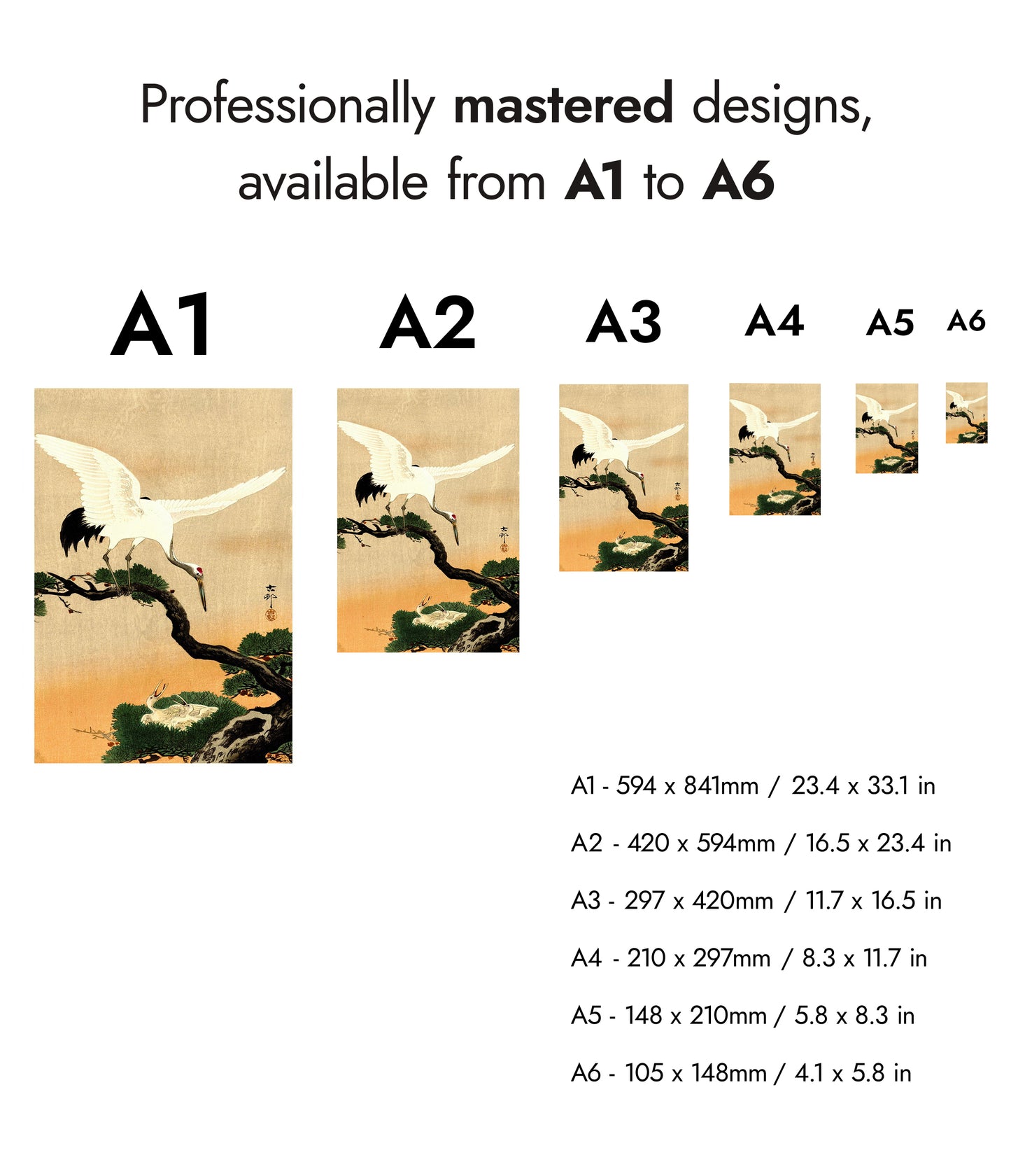 Kraan voedt haar kuikens