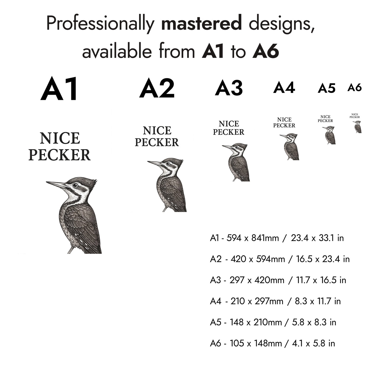 Collection d'animaux drôles