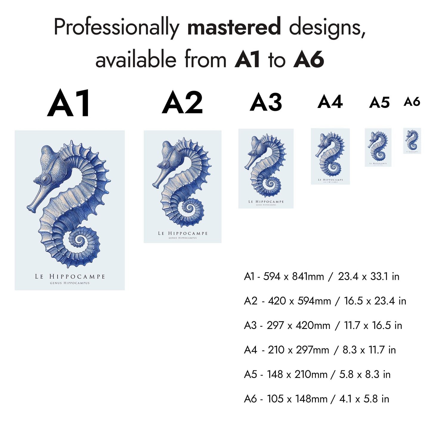 Blaue Meer Lebensausstellung