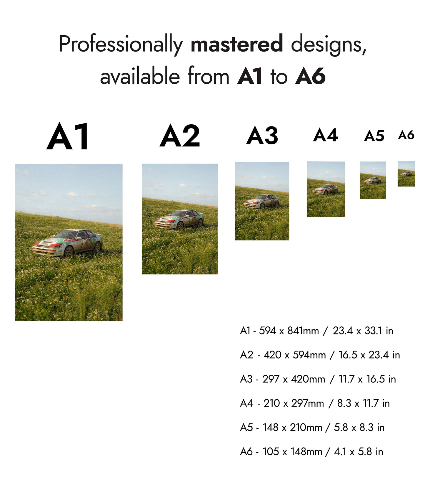 Rally Meadow, Afternoon