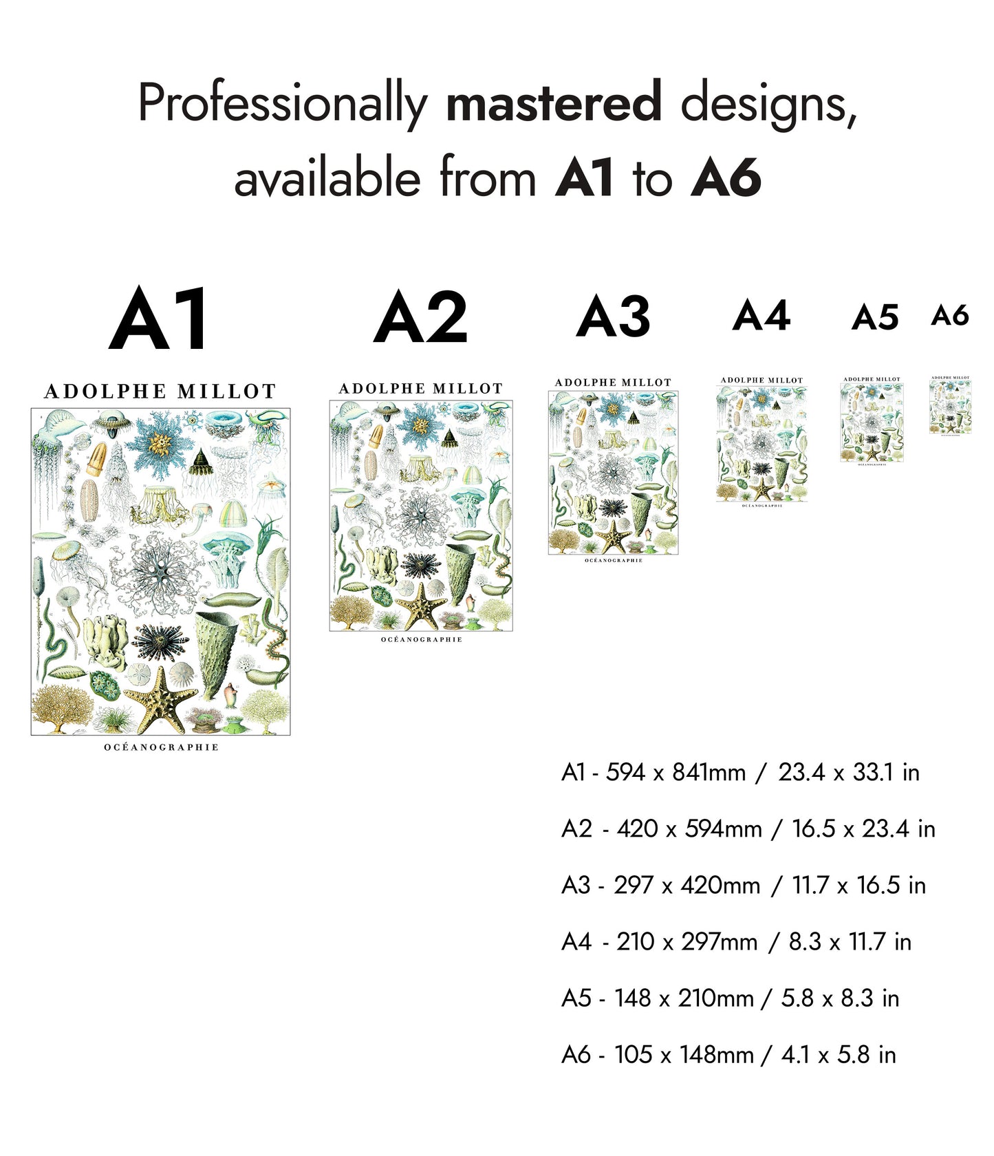 Adolphe Millot Vie Marine - Ensemble de 3