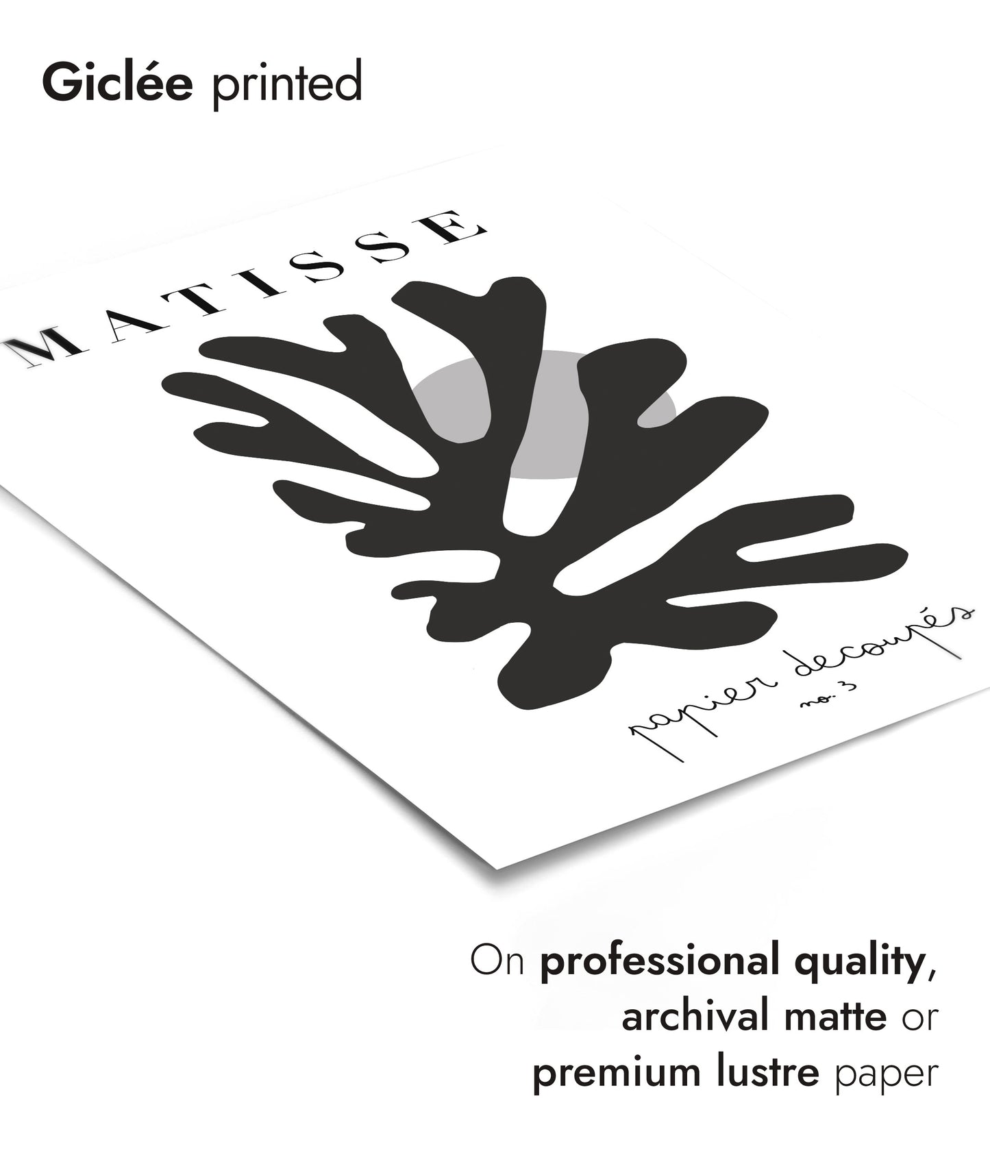 Henri Matisse Black & White - Set of 3