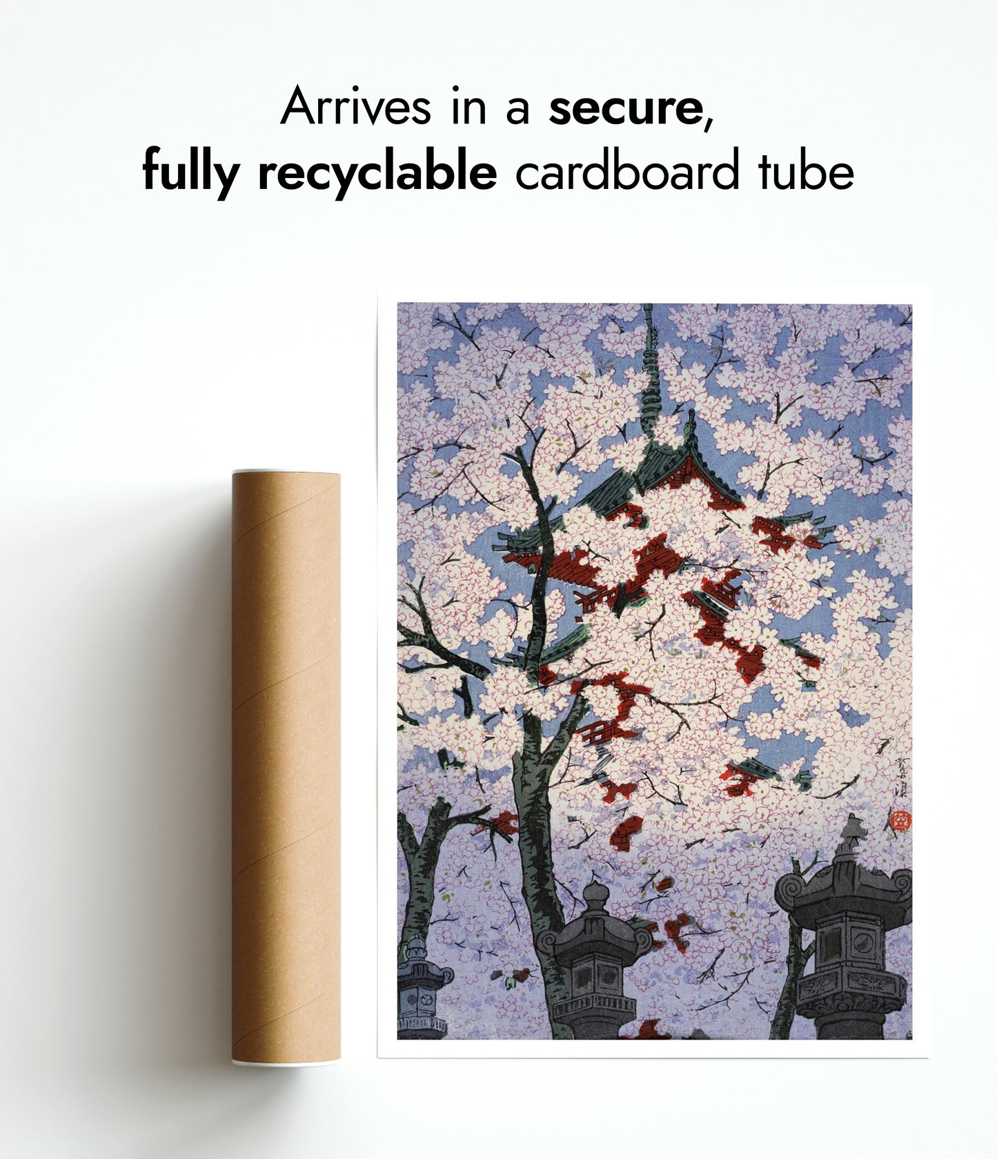 Körsbärsblommor i Ueno Toshogo