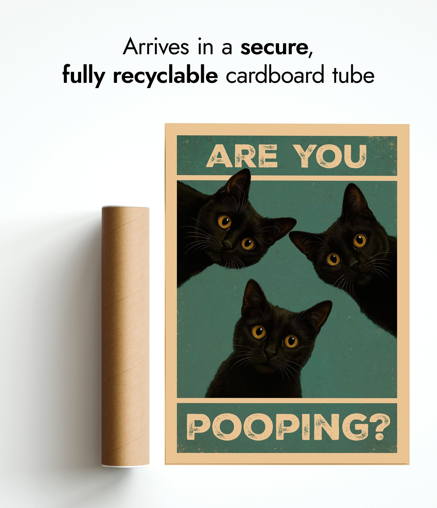 Är du bajsnödig? Katter