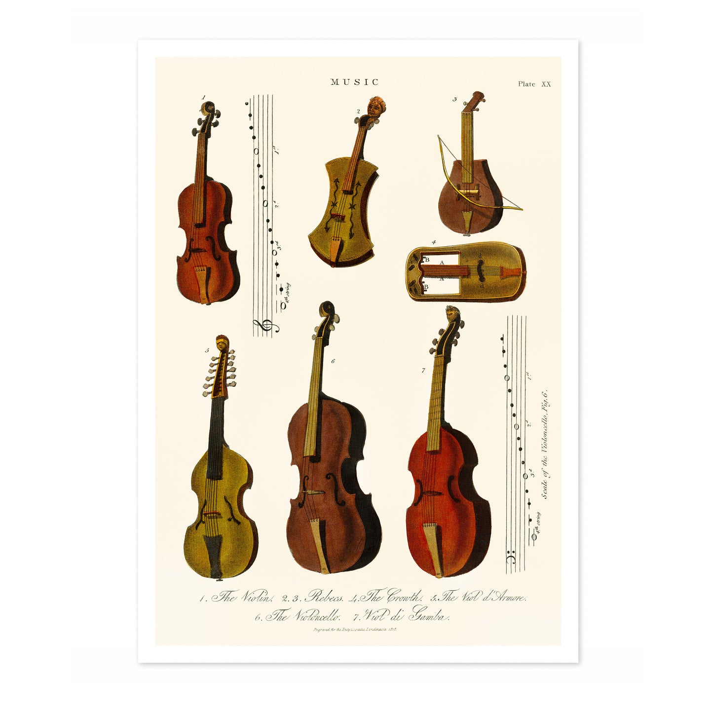 Vintage Violins, Violas and Cellos