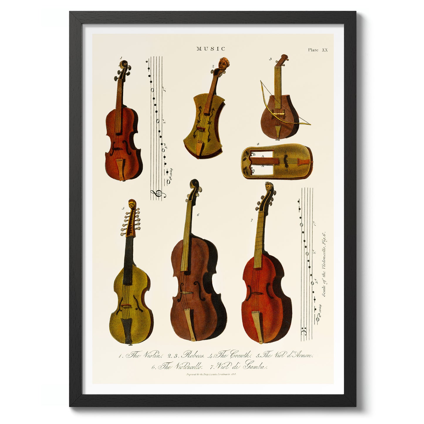 Vintage Violins, Violas and Cellos