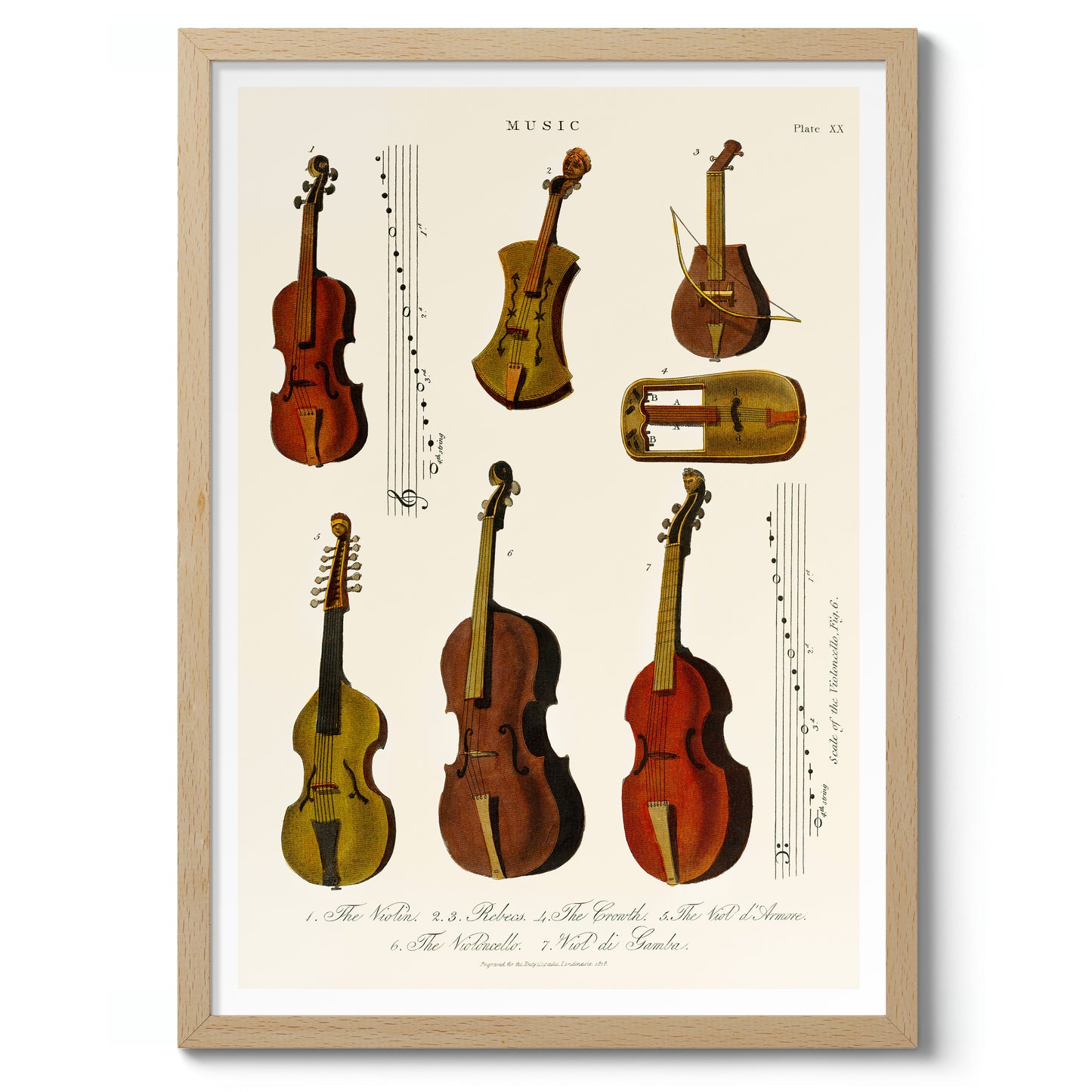 Vintage Violins, Violas and Cellos