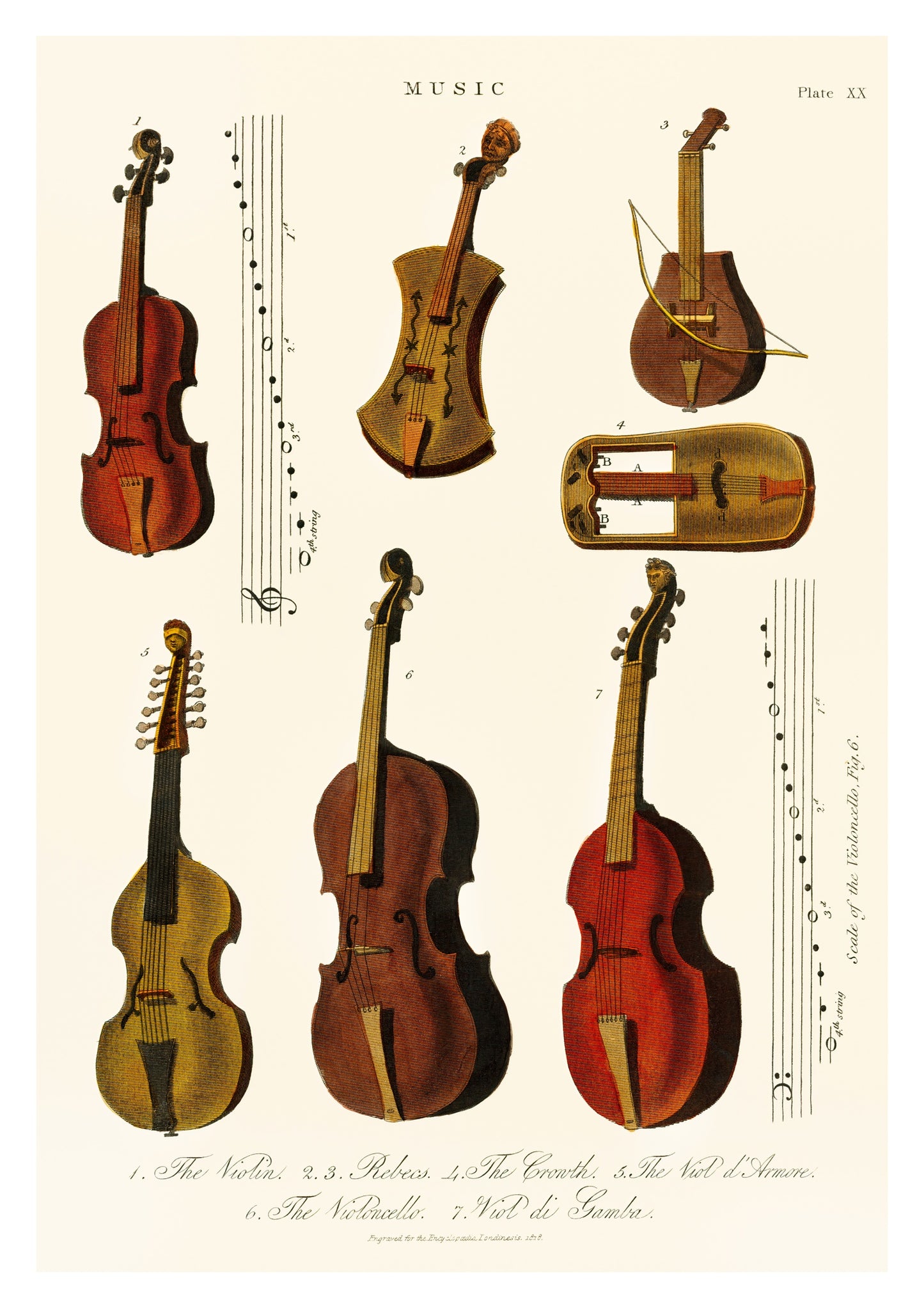 Vintage Violins, Violas and Cellos