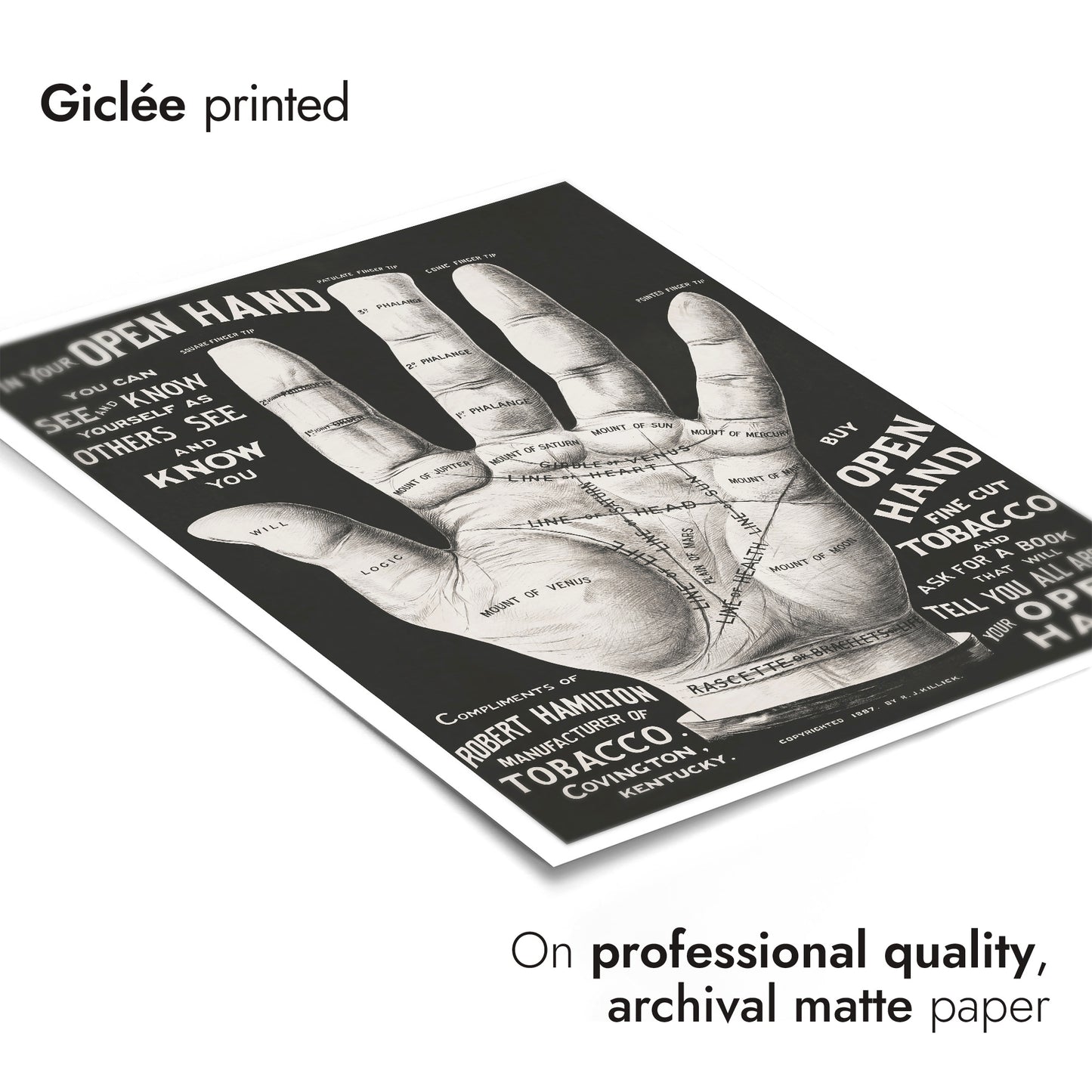 Main ouverte, lecture de la paume