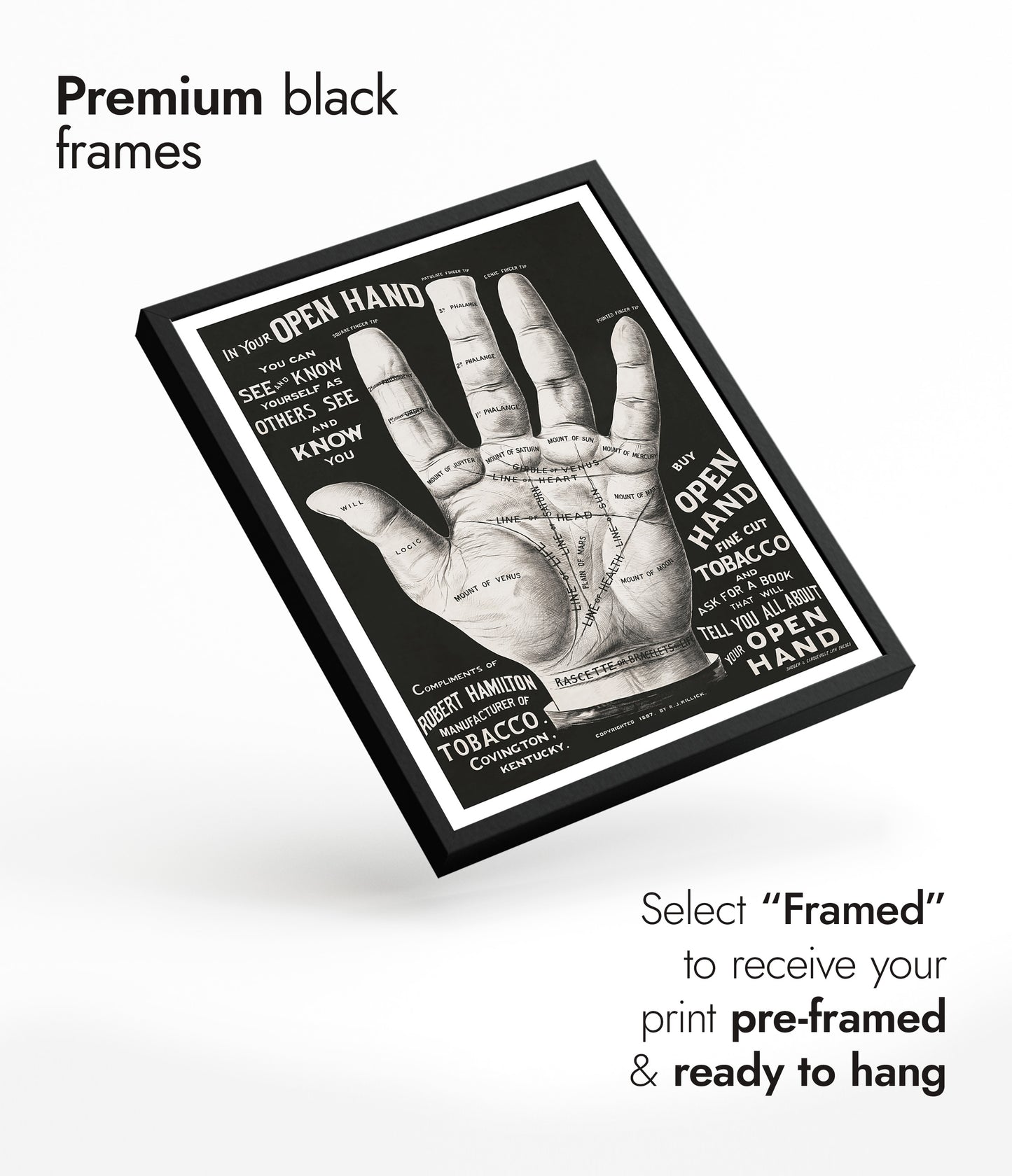 Main ouverte, lecture de la paume