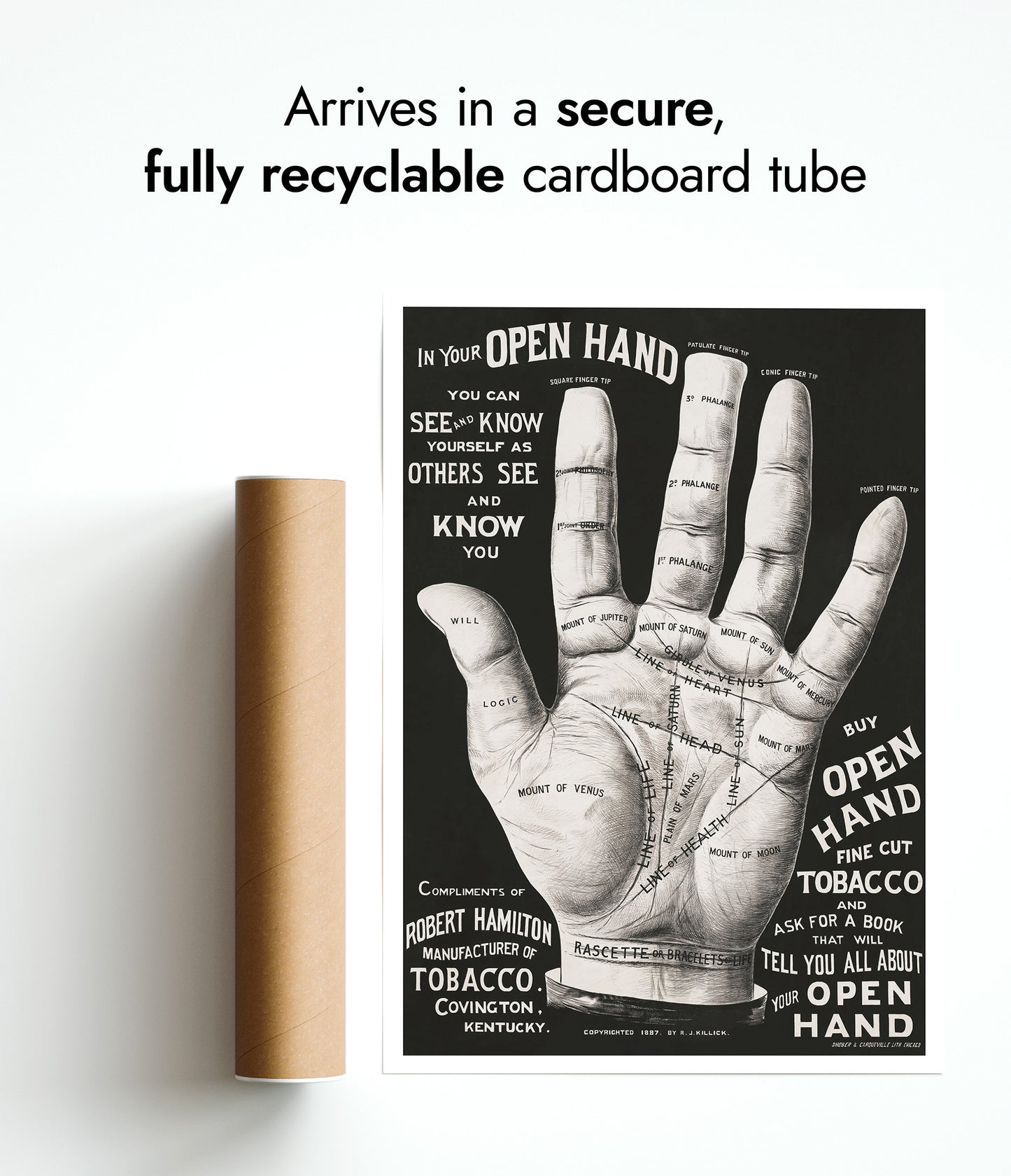 Main ouverte, lecture de la paume