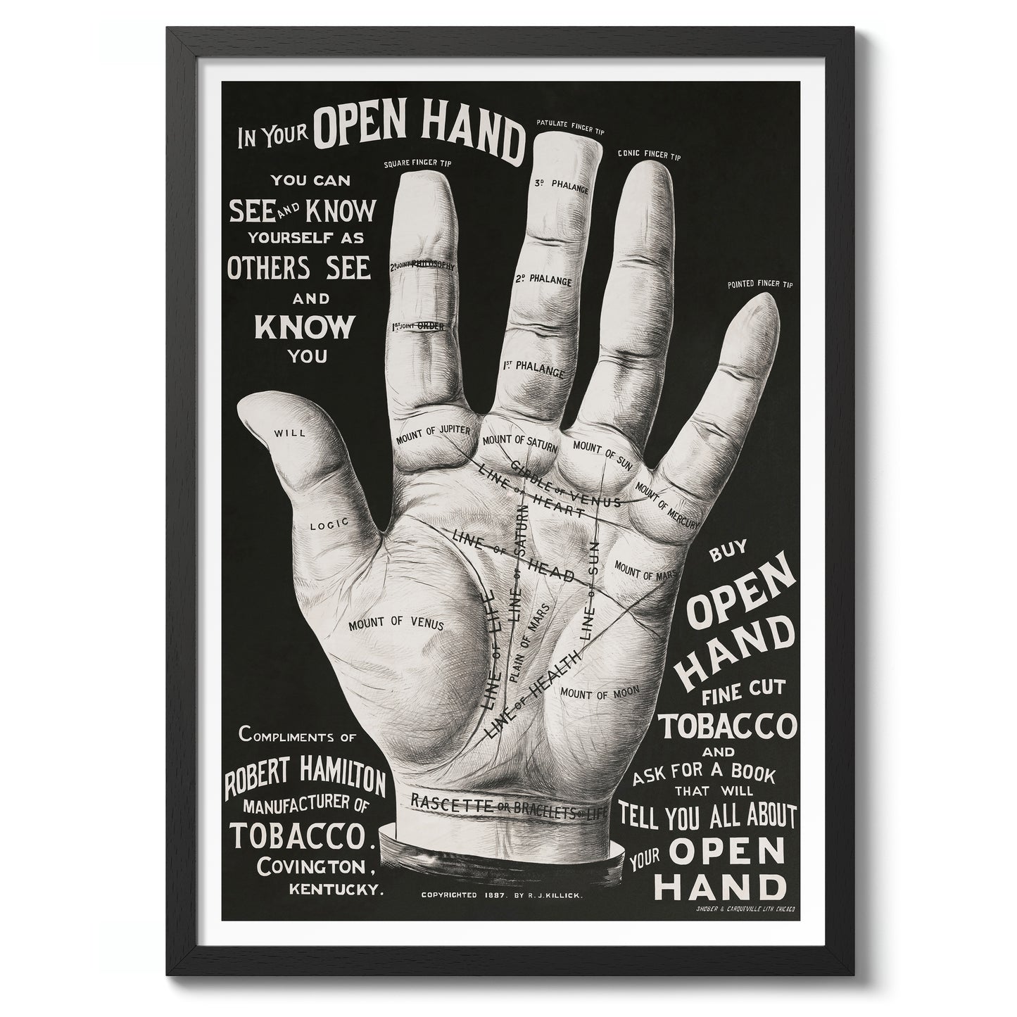 Main ouverte, lecture de la paume