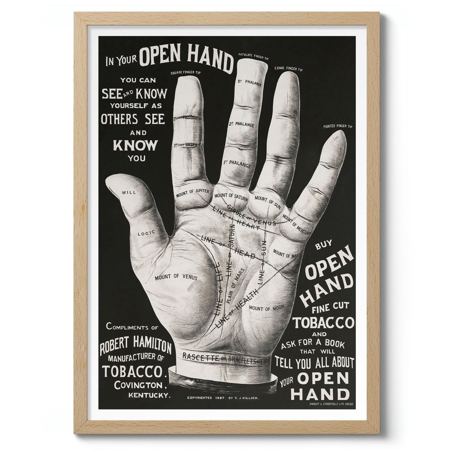 Main ouverte, lecture de la paume