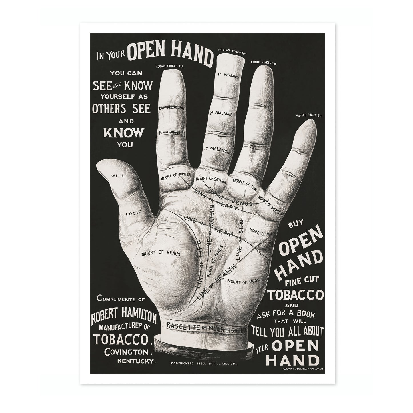 Main ouverte, lecture de la paume