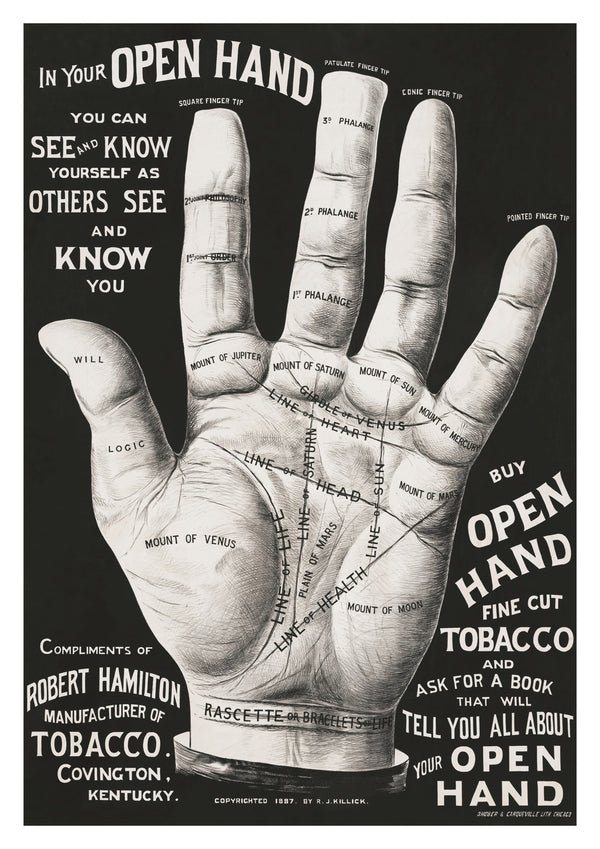 Open Hand, Palm Reading