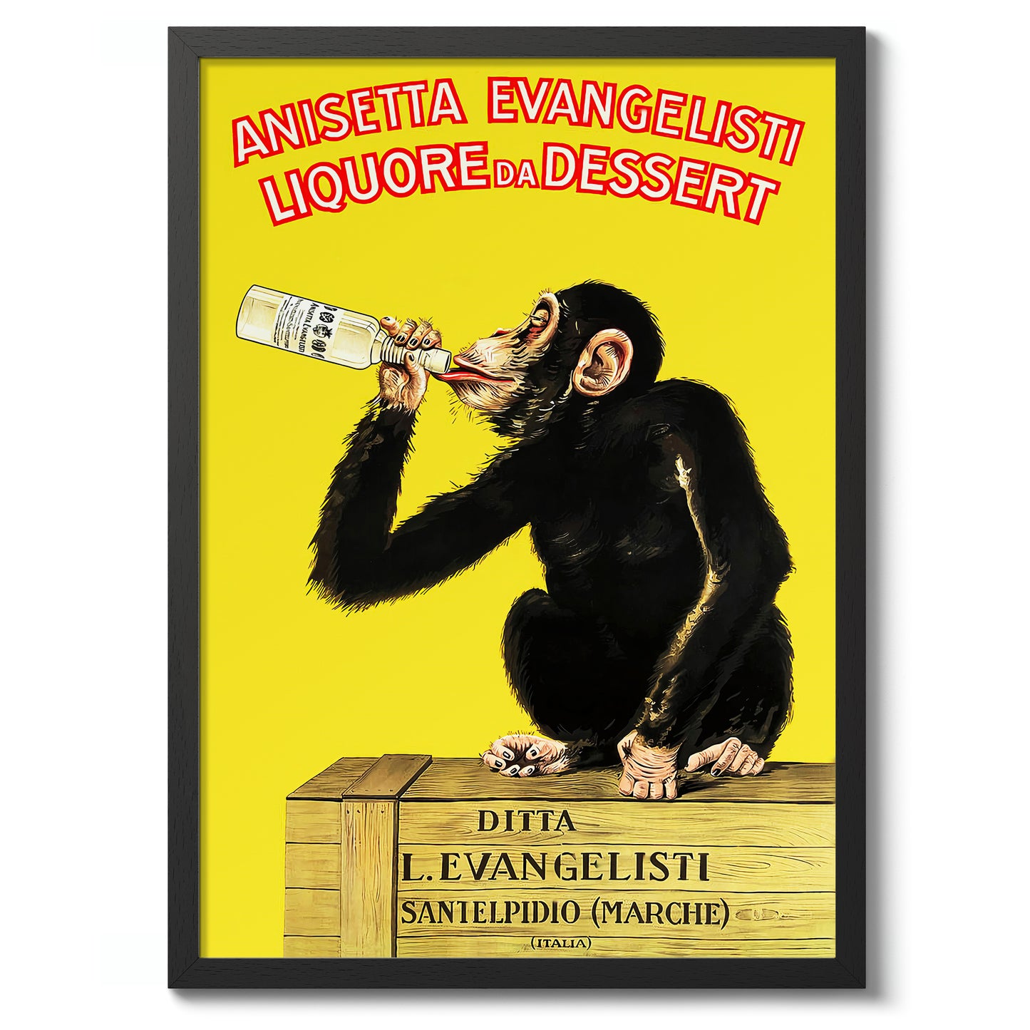 Anisetta Evangelisti Liquour