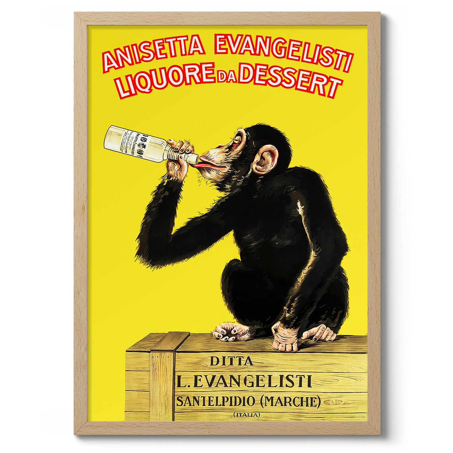 Anisetta Evangelisti Liquour