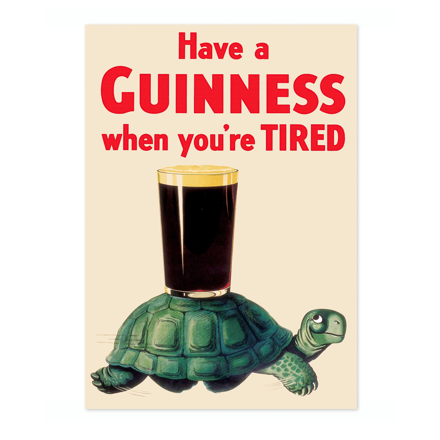 Guinness Turtle