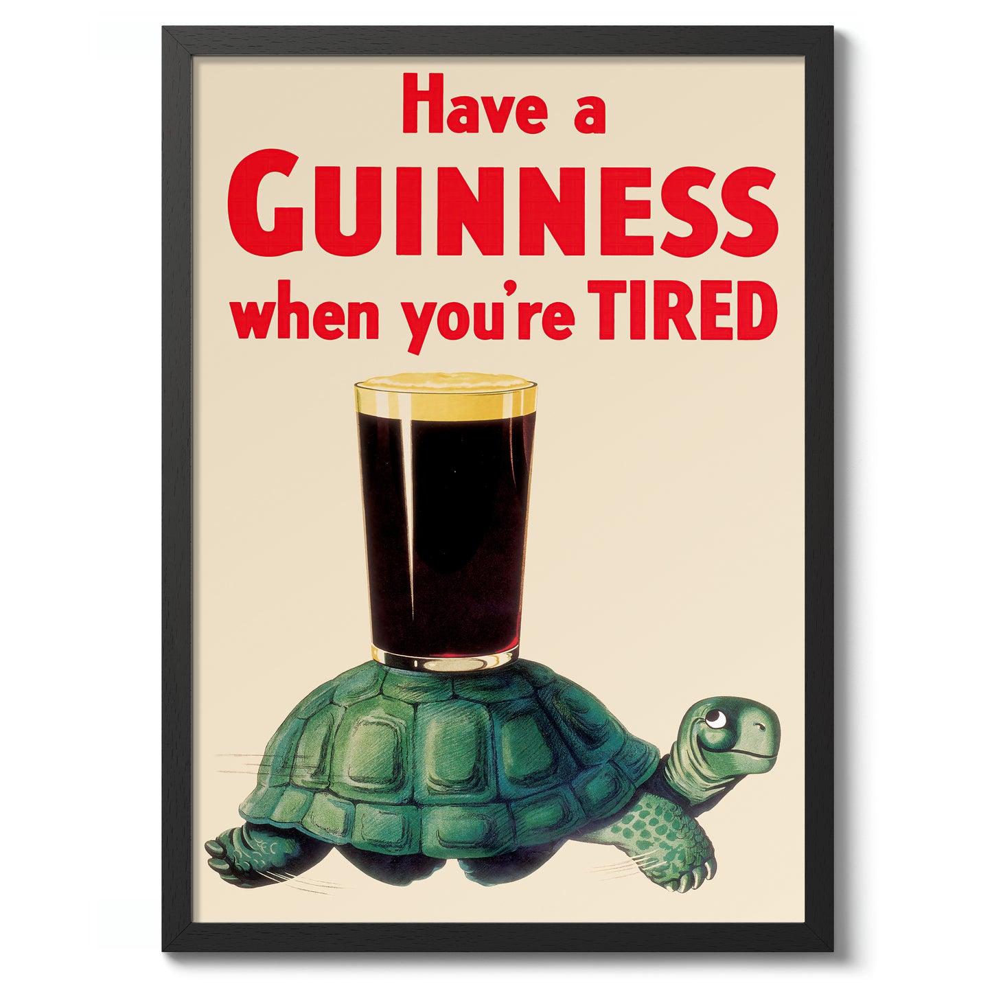 Guinness Turtle