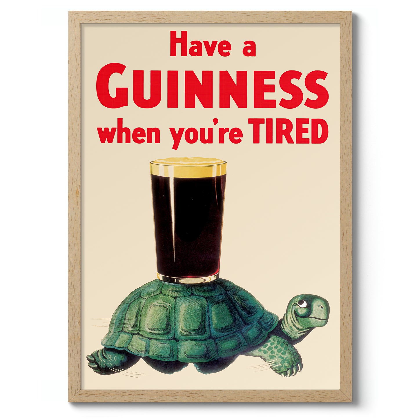 Guinness Turtle