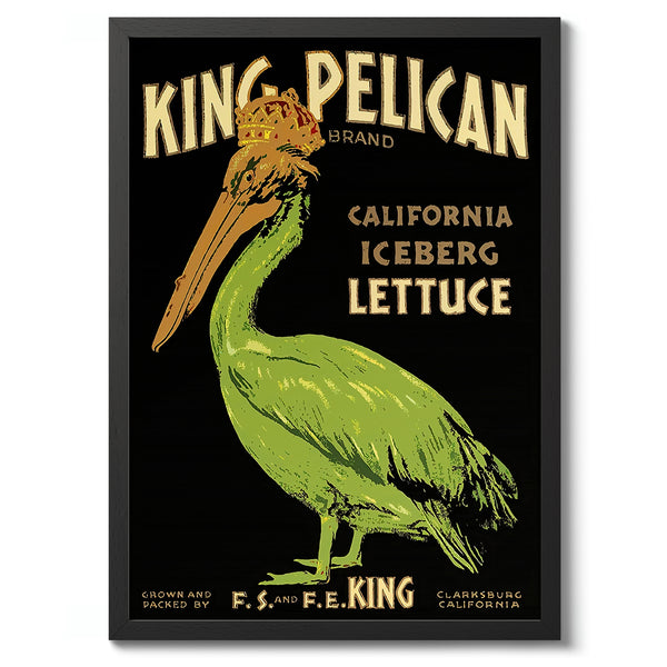 King Pelican Lettuce