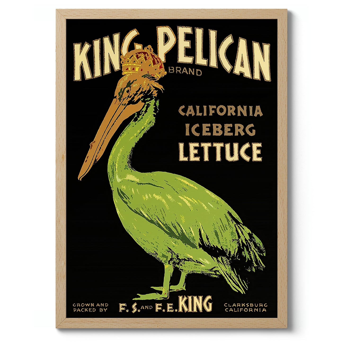 Laitue King Pélican