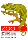 Chameleon, London Zoo print