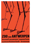 Zoo Antwerpen print