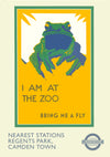 Frog, London Zoo print