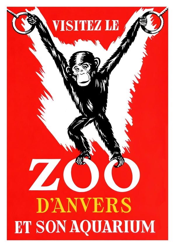 Zoo, Anverz