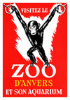 Zoo, Anverz print