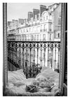 Parisian Balcony print