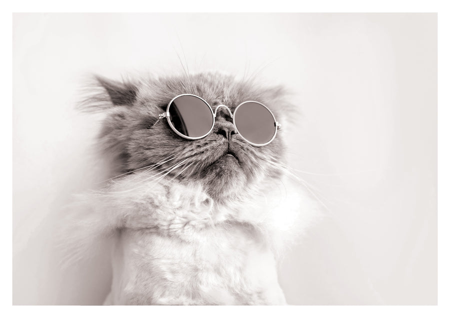 Lennon Kitty - Print Only frame