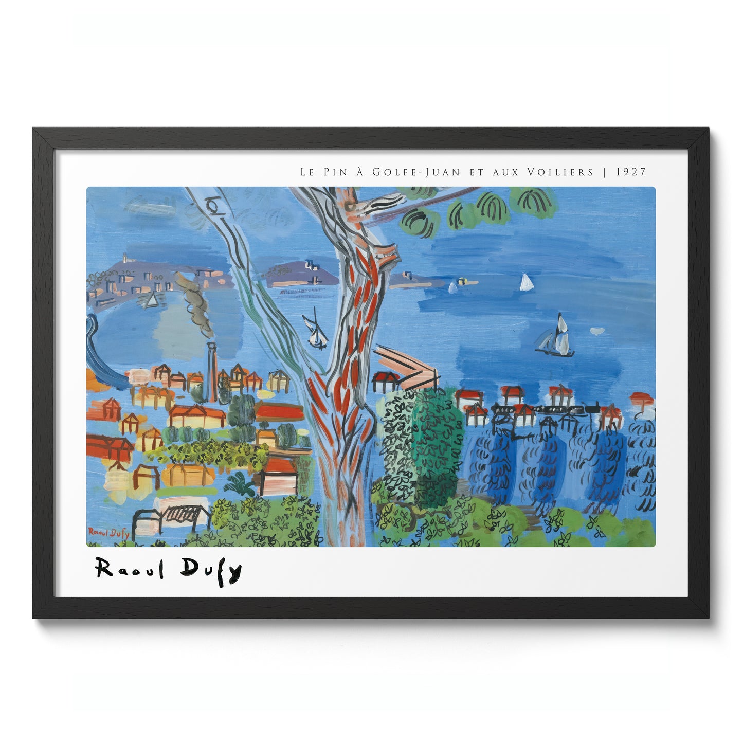 Le Pin à Golfe-Juan et aux Voiliers