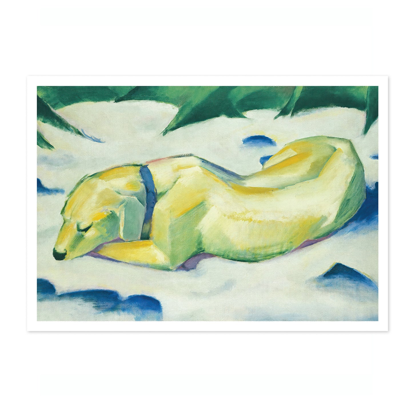 Dog Lying in the Snow