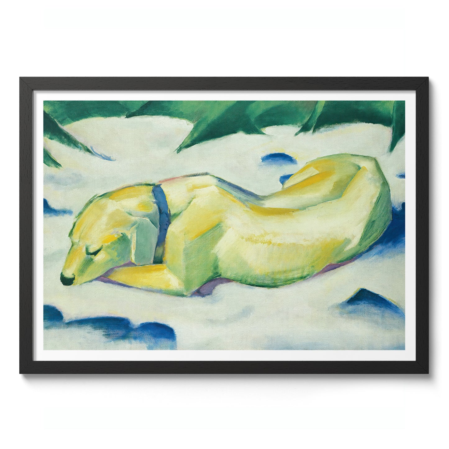 Dog Lying in the Snow