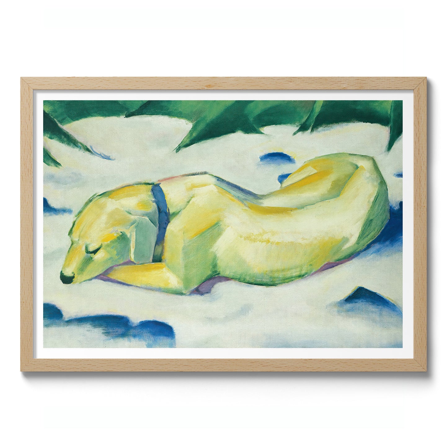 Dog Lying in the Snow