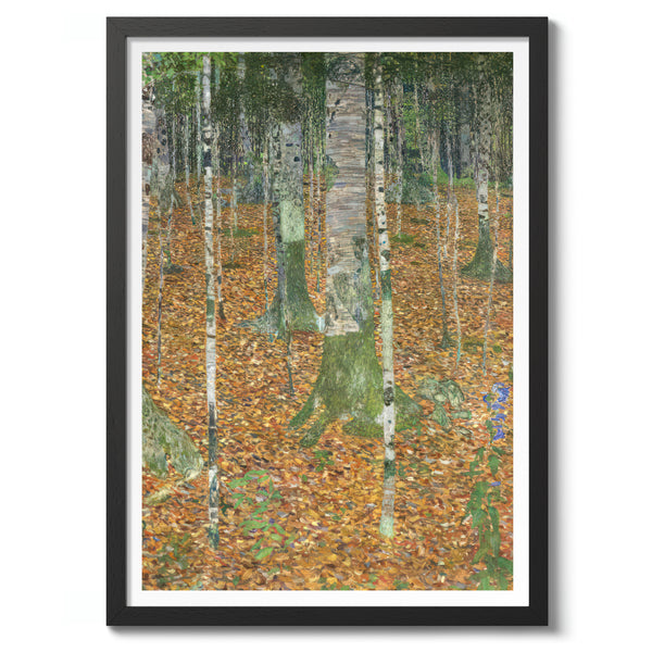 Birch Forest