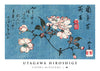 Cherry Blossoms print