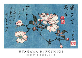 Körsbärsblommor print